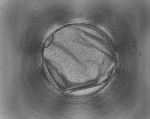 X0000066021358200603241525