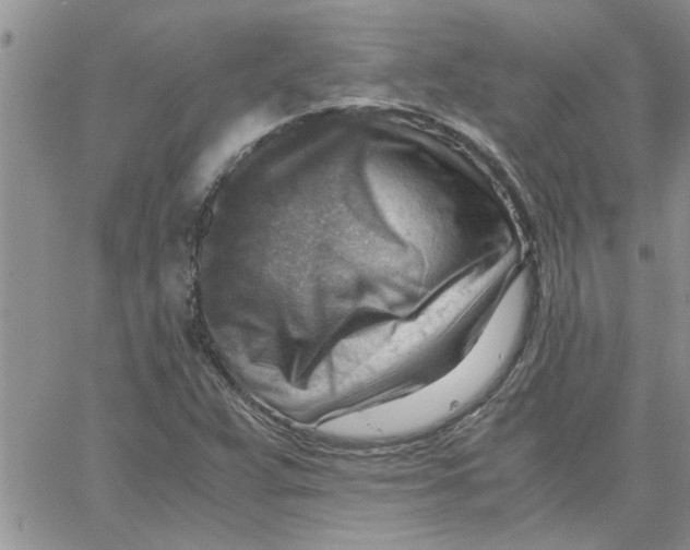 X0000066021359200603241525