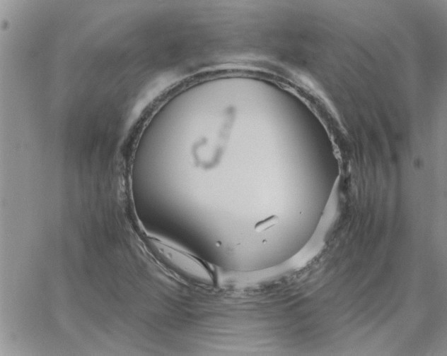 X0000066021360200603241525