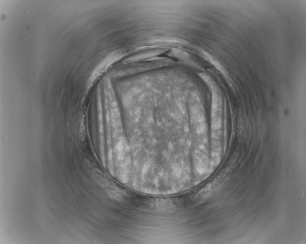 X0000066021362200603241524