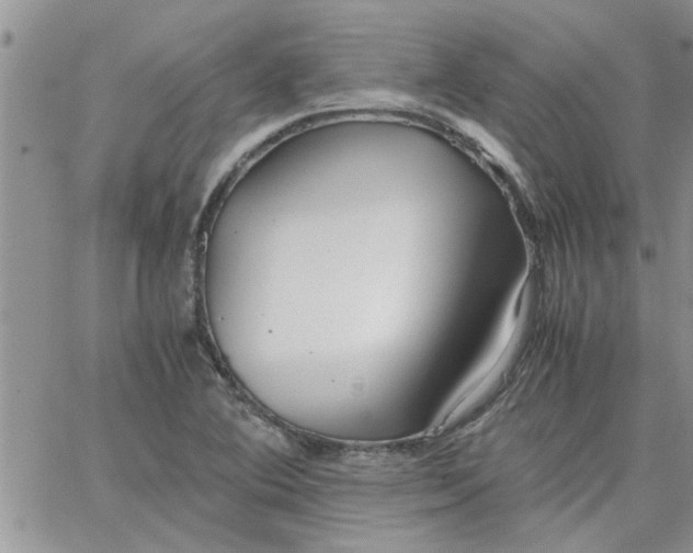 X0000066021364200603241524