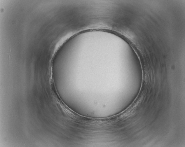 X0000066021366200603241524