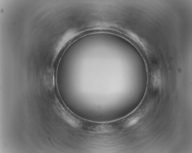 X0000066021368200603241524