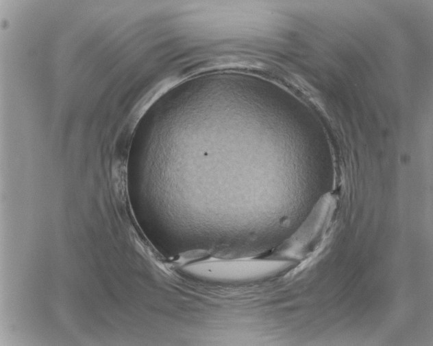 X0000066021369200603241524