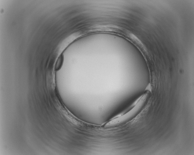 X0000066021370200603241524