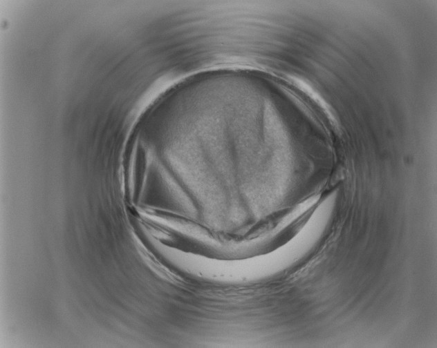 X0000066021372200603241524