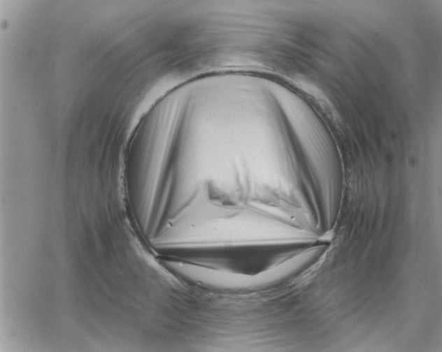 X0000066021374200603241524