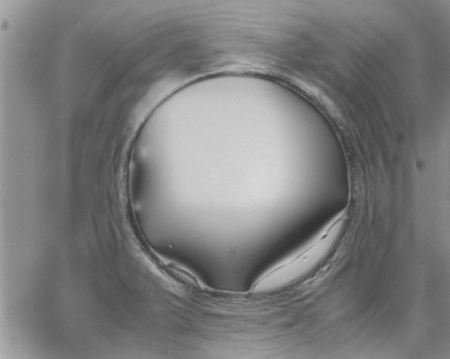 X0000066021375200603241524