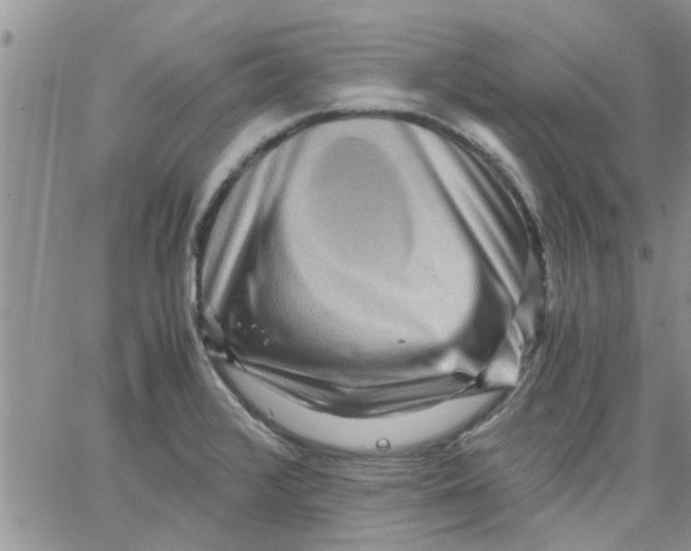 X0000066021376200603241524