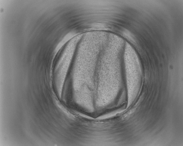 X0000066021378200603241524