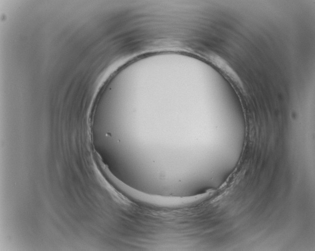 X0000066021380200603241524