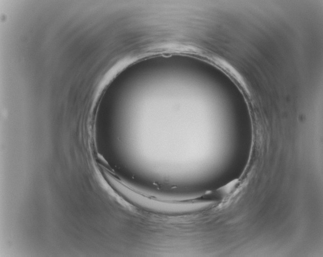 X0000066021381200603241524