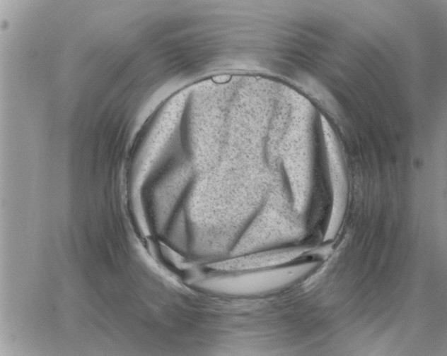 X0000066021382200603241524