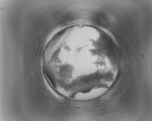 X0000066021383200603241524