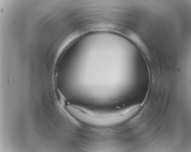 X0000066021384200603241524