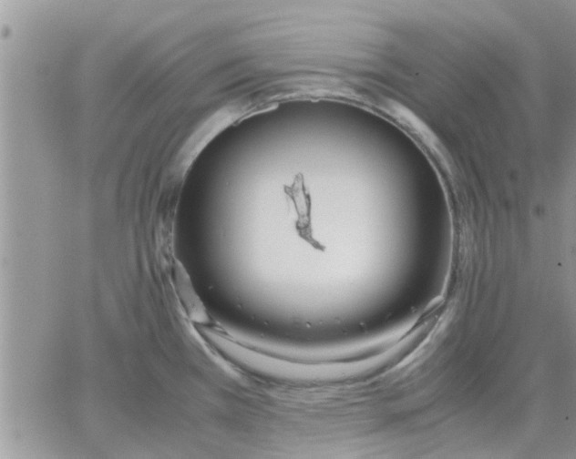 X0000066021385200603241524