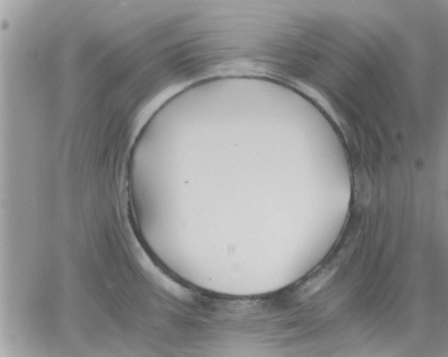 X0000066021387200603241524