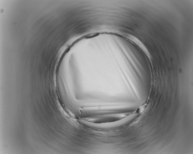 X0000066021388200603241524