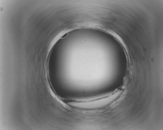 X0000066021389200603241524