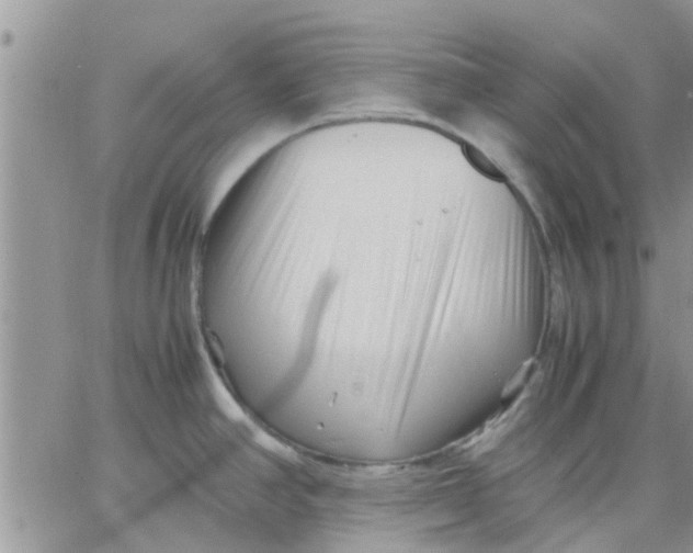 X0000066021390200603241524