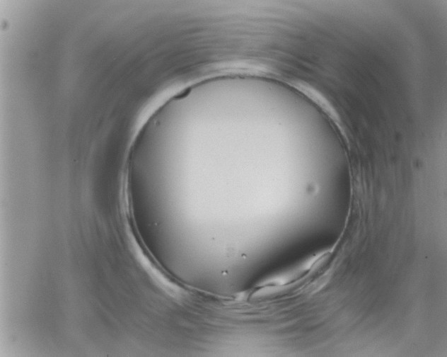 X0000066021391200603241524