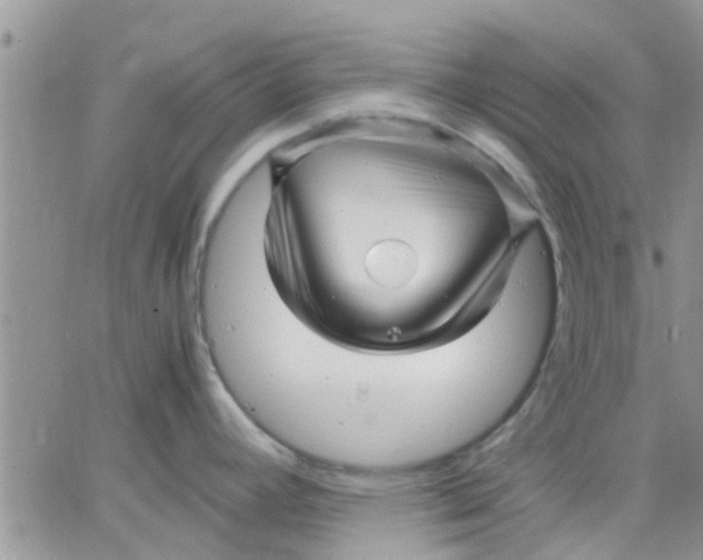 X0000066021392200603241524