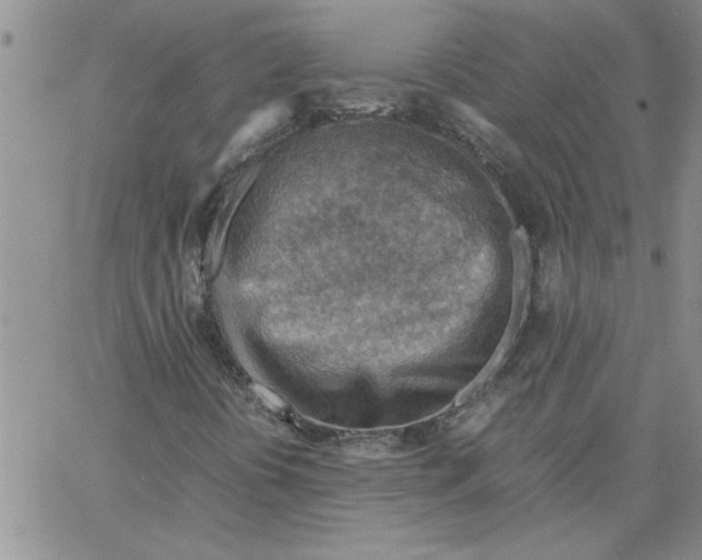 X0000066021394200603241523