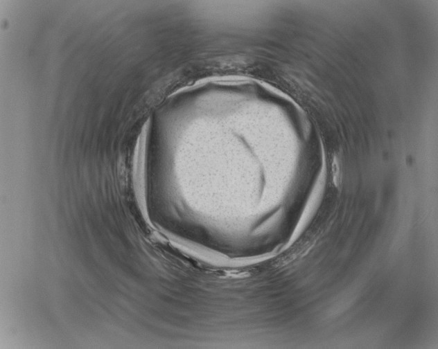 X0000066021395200603241523