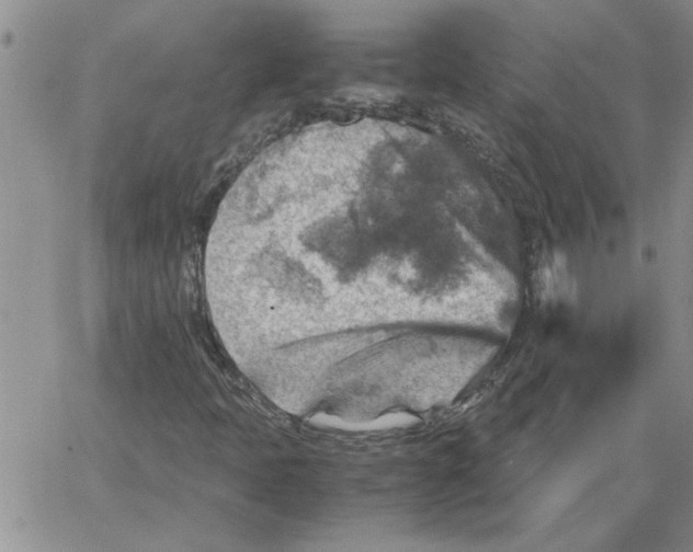 X0000066021397200603241523