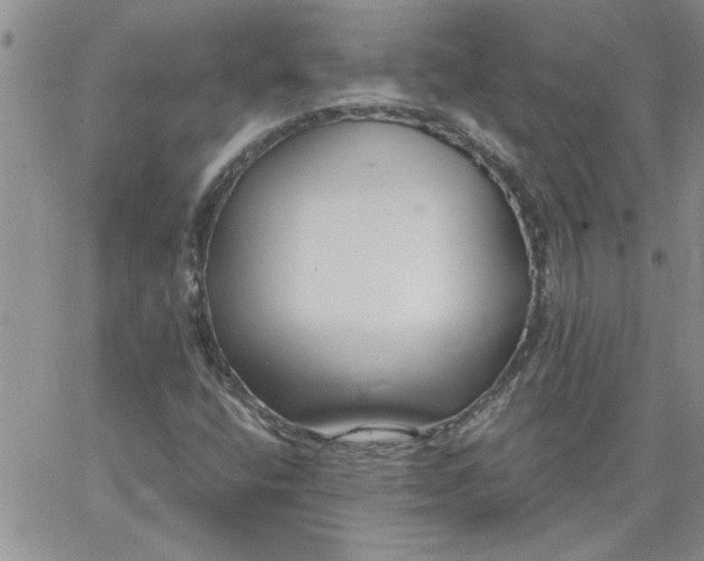 X0000066021400200603241523