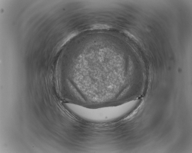 X0000066021401200603241523