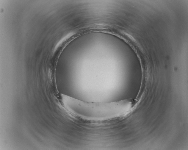 X0000066021402200603241523