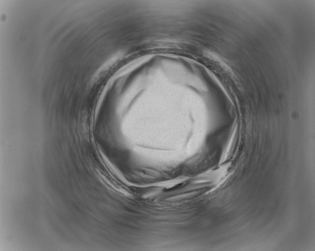 X0000066021403200603241523