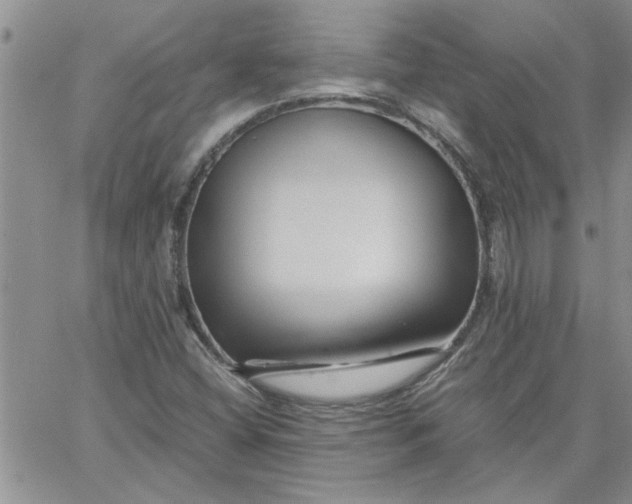 X0000066021404200603241523