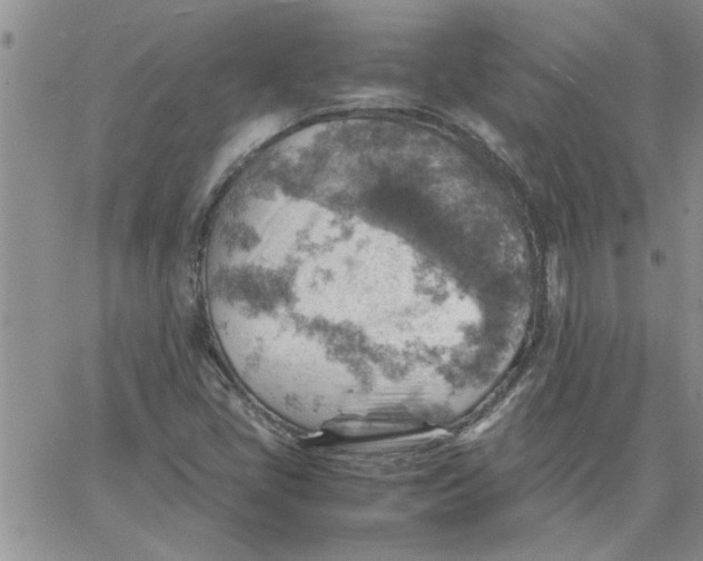 X0000066021405200603241523