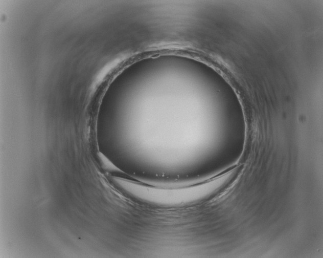 X0000066021406200603241523