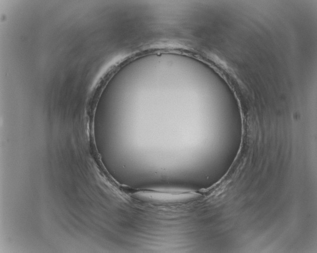 X0000066021408200603241523