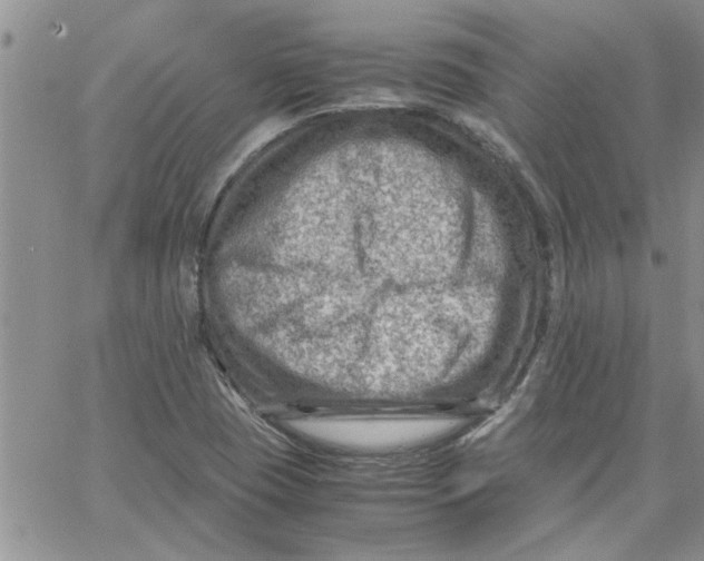 X0000066021409200603241523