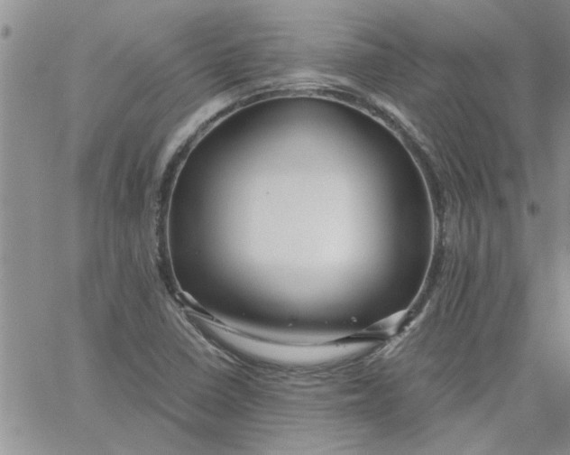 X0000066021410200603241523