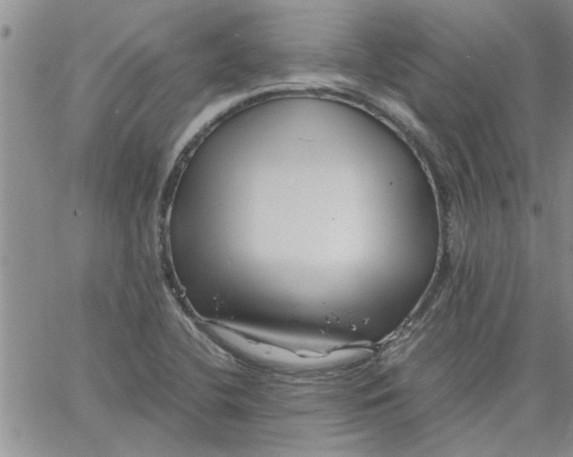 X0000066021412200603241524