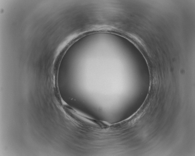 X0000066021414200603241524