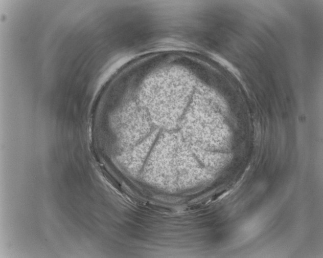 X0000066021415200603241524