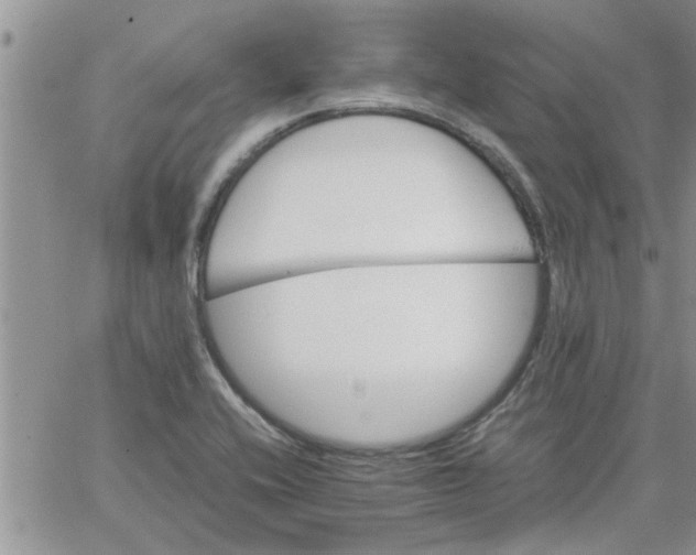 X0000066021416200603241524