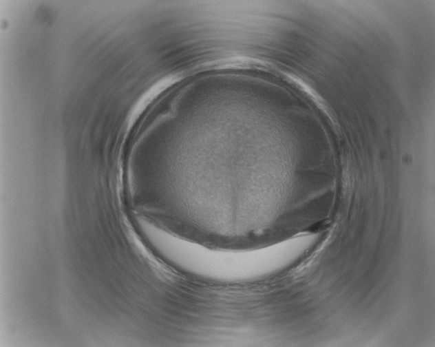 X0000066021418200603241524