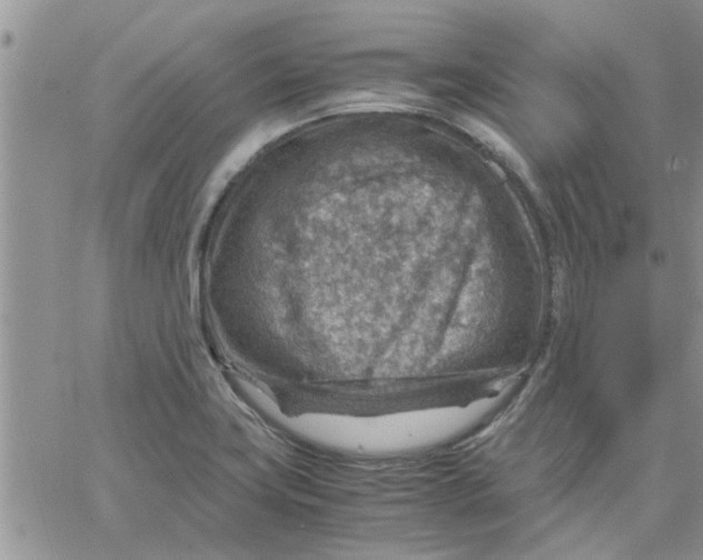 X0000066021419200603241524