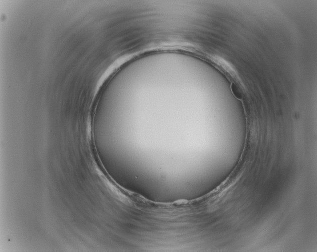 X0000066021420200603241524