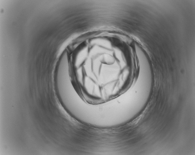 X0000066021422200603241524