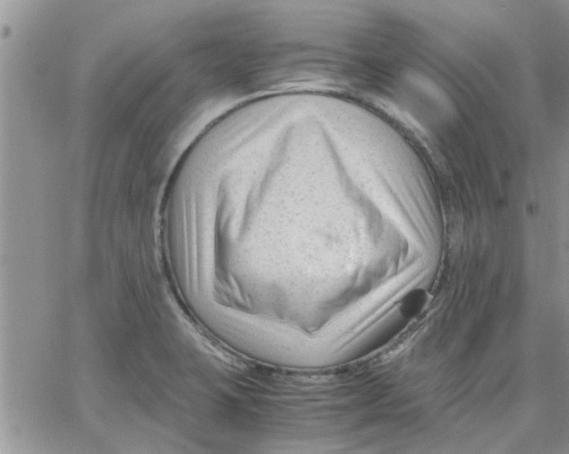 X0000066021423200603241524