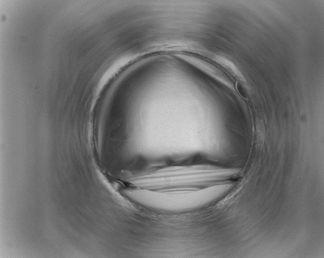 X0000066021424200603241524