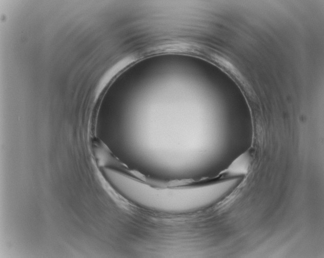 X0000066021426200603241524